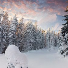 Схема вышивки «зима»