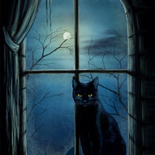 Схема вышивки «черный кот»