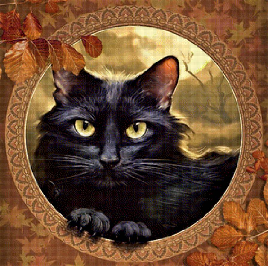 осенний кот - осень, портрет, черный кот, листья - предпросмотр