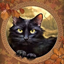 Схема вышивки «осенний кот»