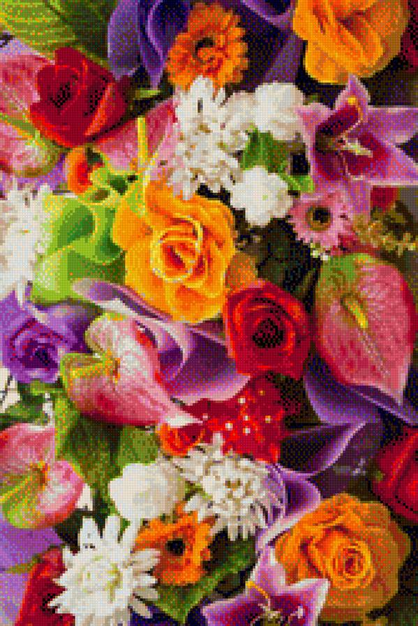 КВІТИ - квіти - предпросмотр