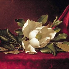 Схема вышивки «Магнолия на красном бархате»