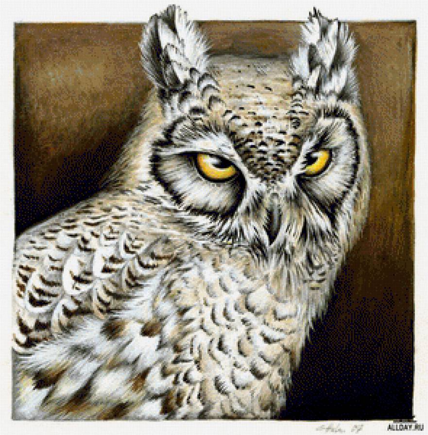 Совушка - птицы - предпросмотр