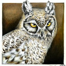 Схема вышивки «Совушка»