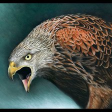 Схема вышивки «Хищный взгляд»