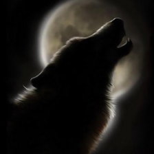 Схема вышивки «Волк»