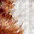 Предпросмотр схемы вышивки «Рыжик» (№1148854)