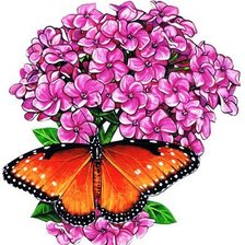 Схема вышивки «Бабочка»