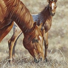 Схема вышивки «№1149474»