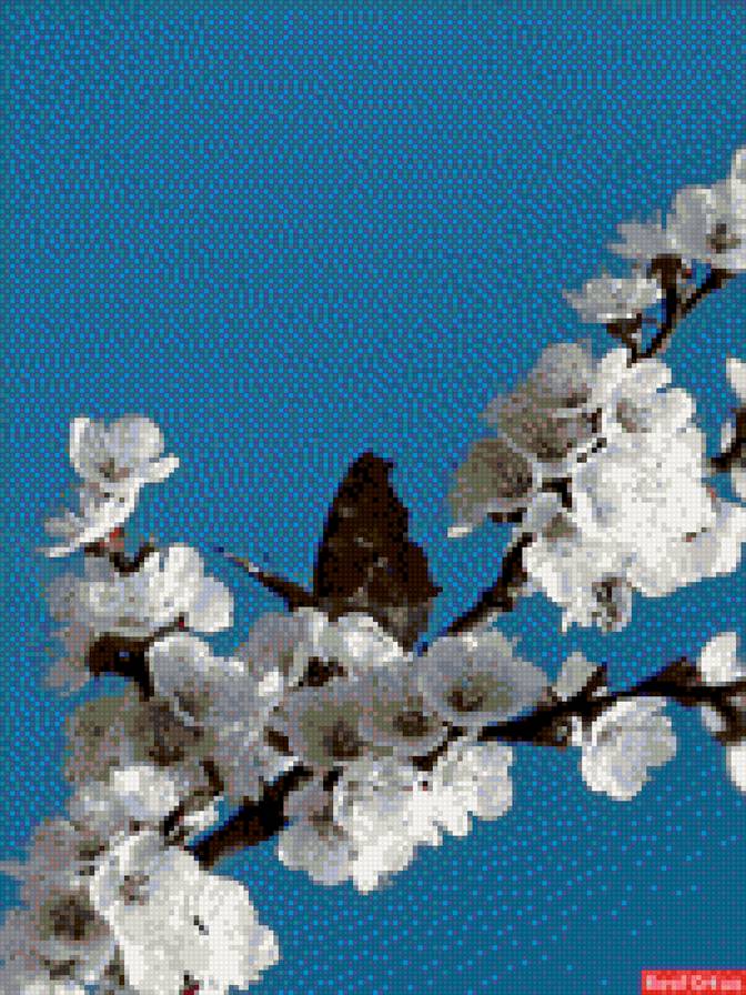 Это весна - бабочка весна ветка яблоня - предпросмотр