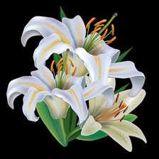 Схема вышивки «лилия»