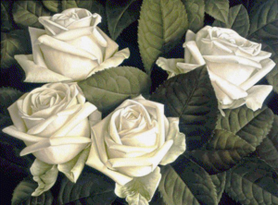 Серия "Флора" - белые розы, букет - предпросмотр