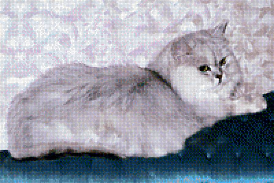 Люська - кошка - предпросмотр