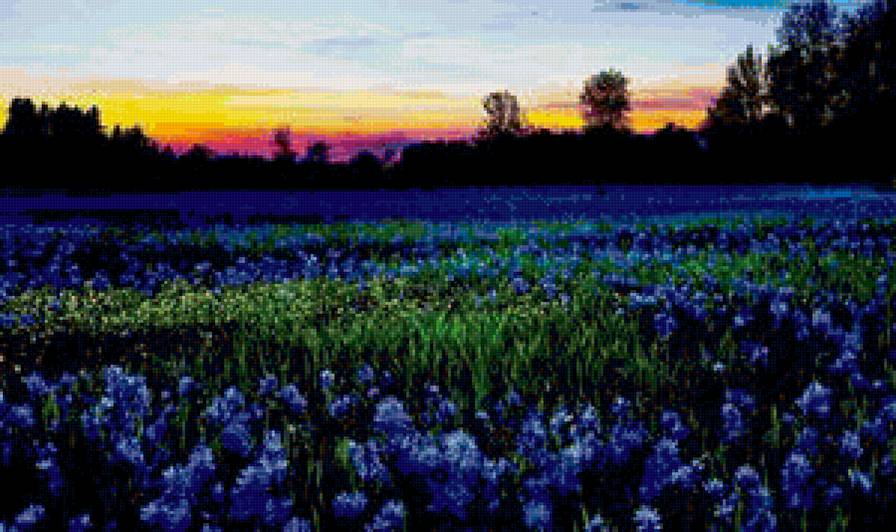 вечер - вечер, закат, цветы - предпросмотр