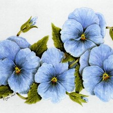 Схема вышивки «Анютины глазки»