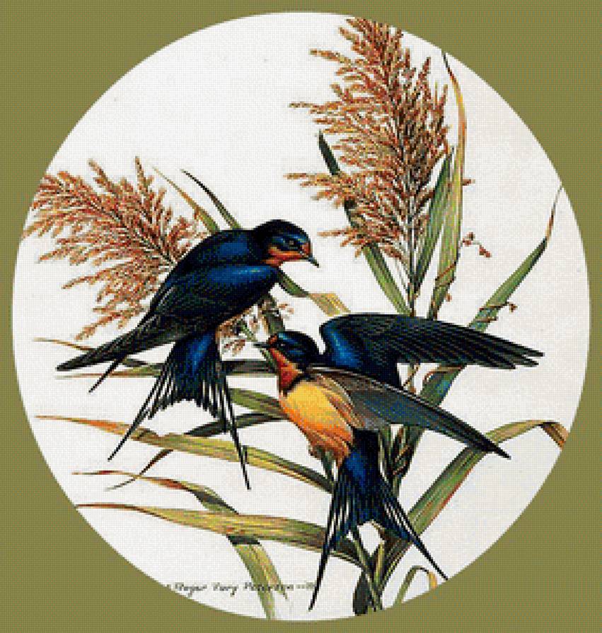 Серия птицы - вышивка крестом - предпросмотр