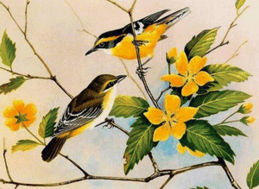 Серия птицы - вышивка крестом - предпросмотр