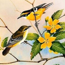 Серия птицы