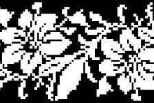 Схема вышивки «Вышиванка лилии»