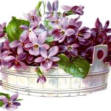 Схема вышивки «№1150249»