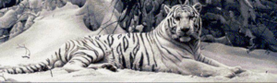 Тигр на снегу - предпросмотр