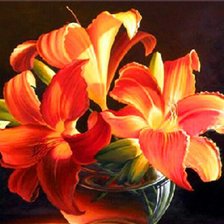 Схема вышивки «Лилии на черном»