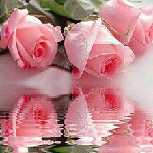 Схема вышивки «Отражение роз»