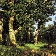 Схема вышивки «дубовая роща»