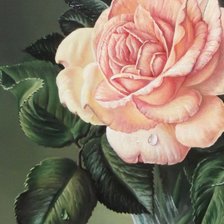 Схема вышивки «цветы»