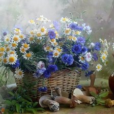 Схема вышивки «натюрморт»