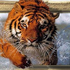 Схема вышивки «Тигр»