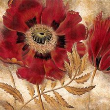 Схема вышивки «маки»