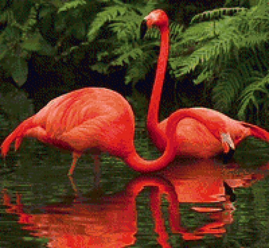 фламинго - предпросмотр