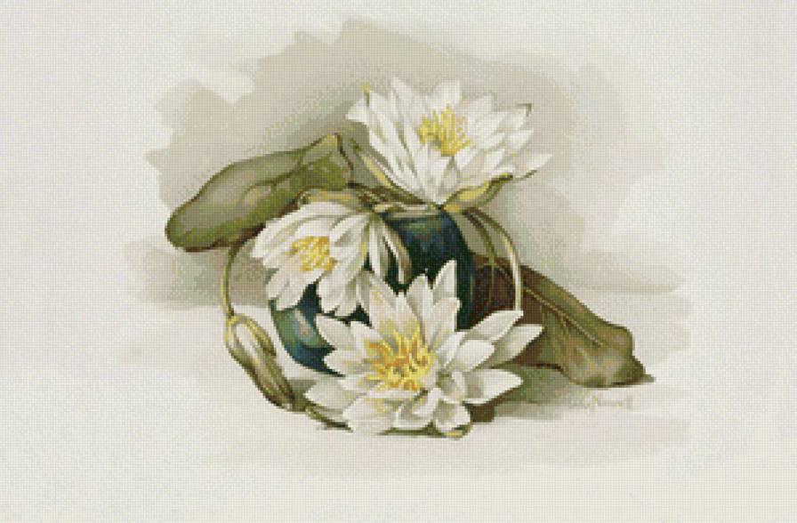 лотосы - предпросмотр