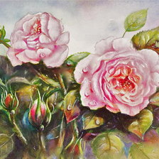 Схема вышивки «№1152061»