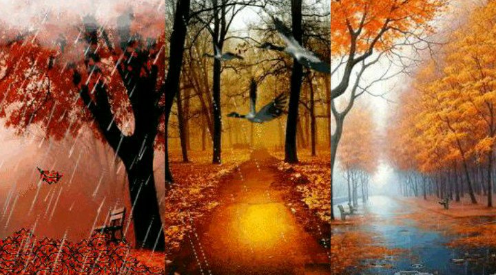 осень - природа - оригинал
