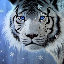 Схема вышивки «белый тигр»