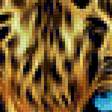 Предпросмотр схемы вышивки «леопард» (№1152324)