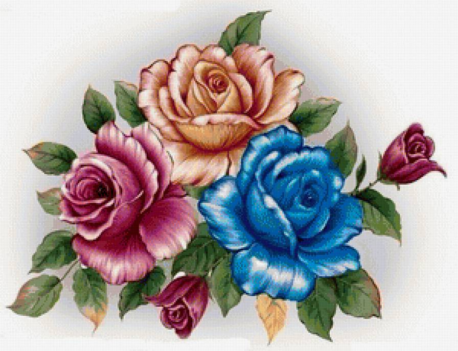 Розы - роза, цветы, букет, цветок - предпросмотр