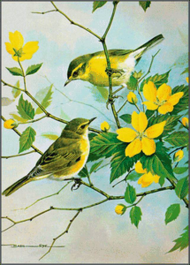 Весенние пташки - сладкая парочка, природа, птицы, цветы, птицы на ветке - предпросмотр