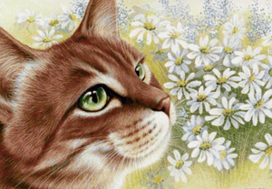 кот в цветах - кот, коты, котенок, котята - предпросмотр