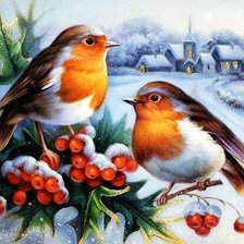 Схема вышивки «птицы»