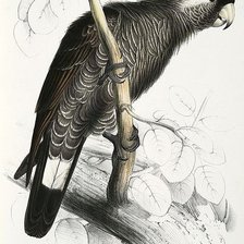 Схема вышивки «№1152800»