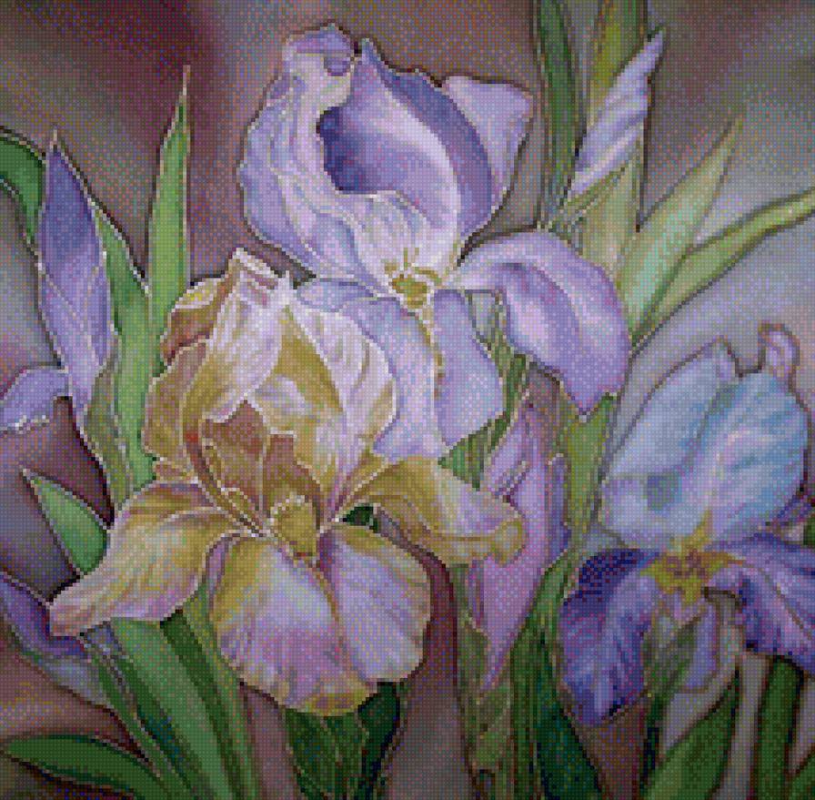 ирисы витраж - цветы ирисы - предпросмотр