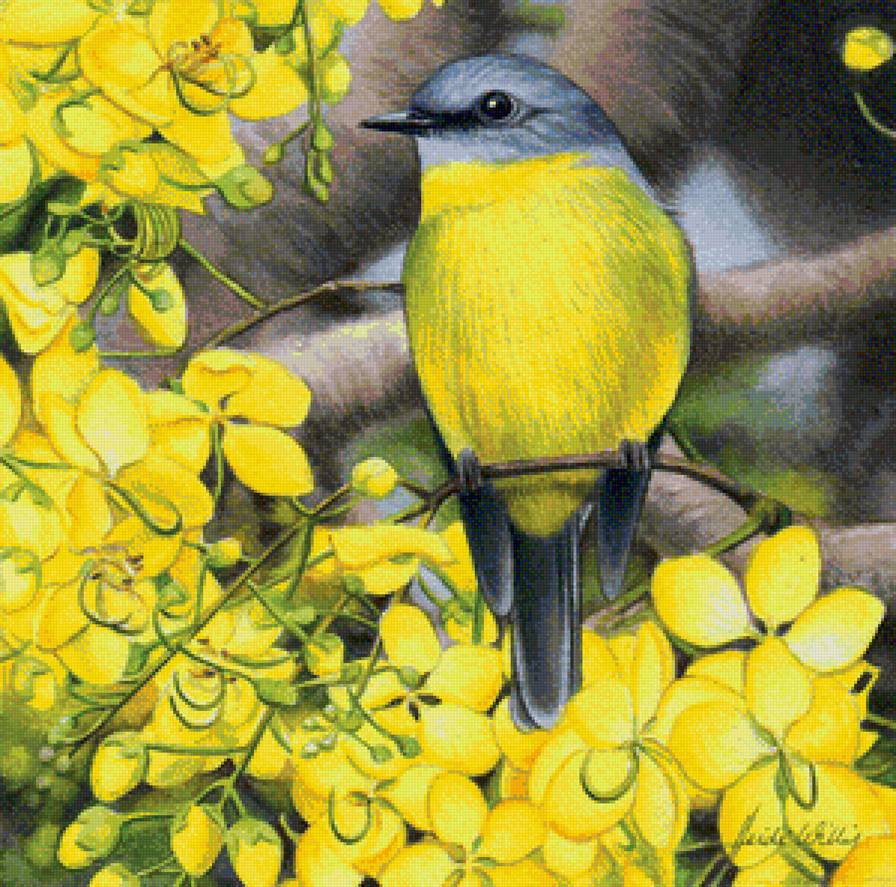 Птичка - птицы, цветы - предпросмотр