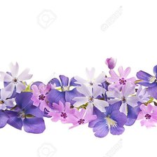 Схема вышивки «полевые цветы»