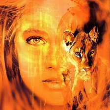 Схема вышивки «взгляд тигрицы»