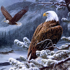 Схема вышивки «орел»