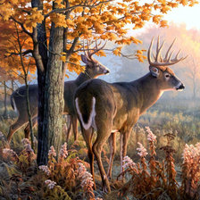 Схема вышивки «осенние олень»