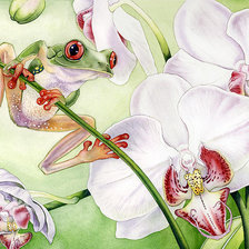 Схема вышивки «Орхидеи и лягушка»
